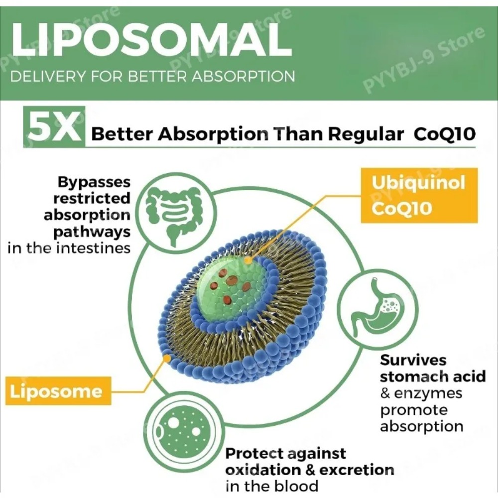CoQ10 Ubiquinol en gélules mol - Coq10 Ubiquinol Softgel avis et prix